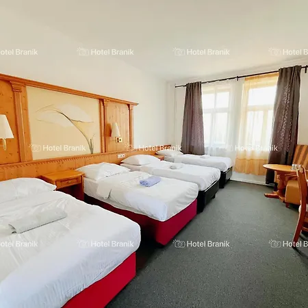 Hotel Branik-2